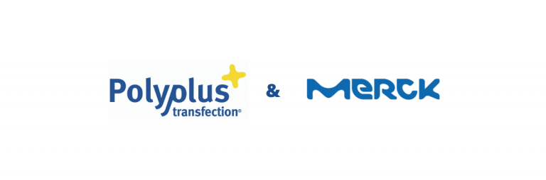 Polyplus-transfection and Merck