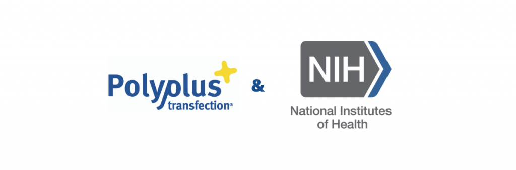Polyplus-transfection and NIH