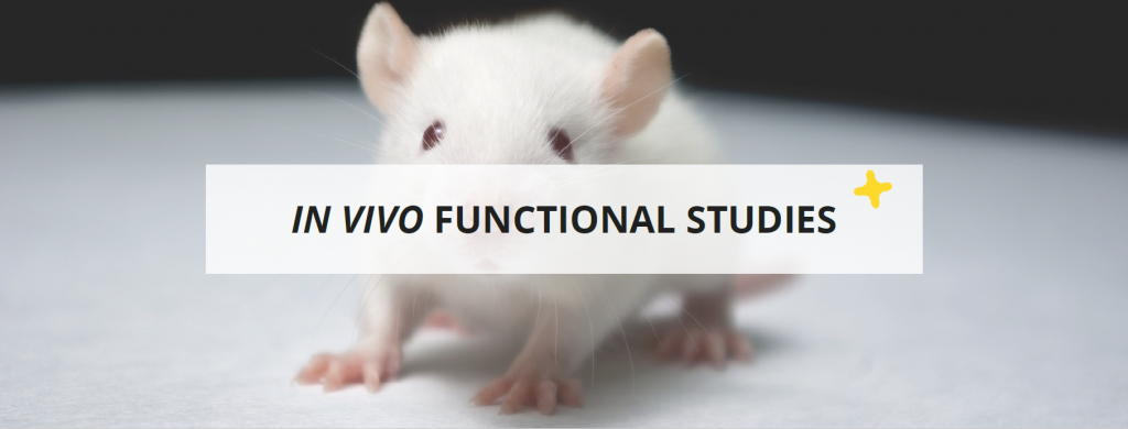in vivo functional studies