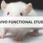 in vivo functional studies