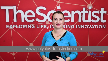 Polyplus-transfection - Trends in Transfection