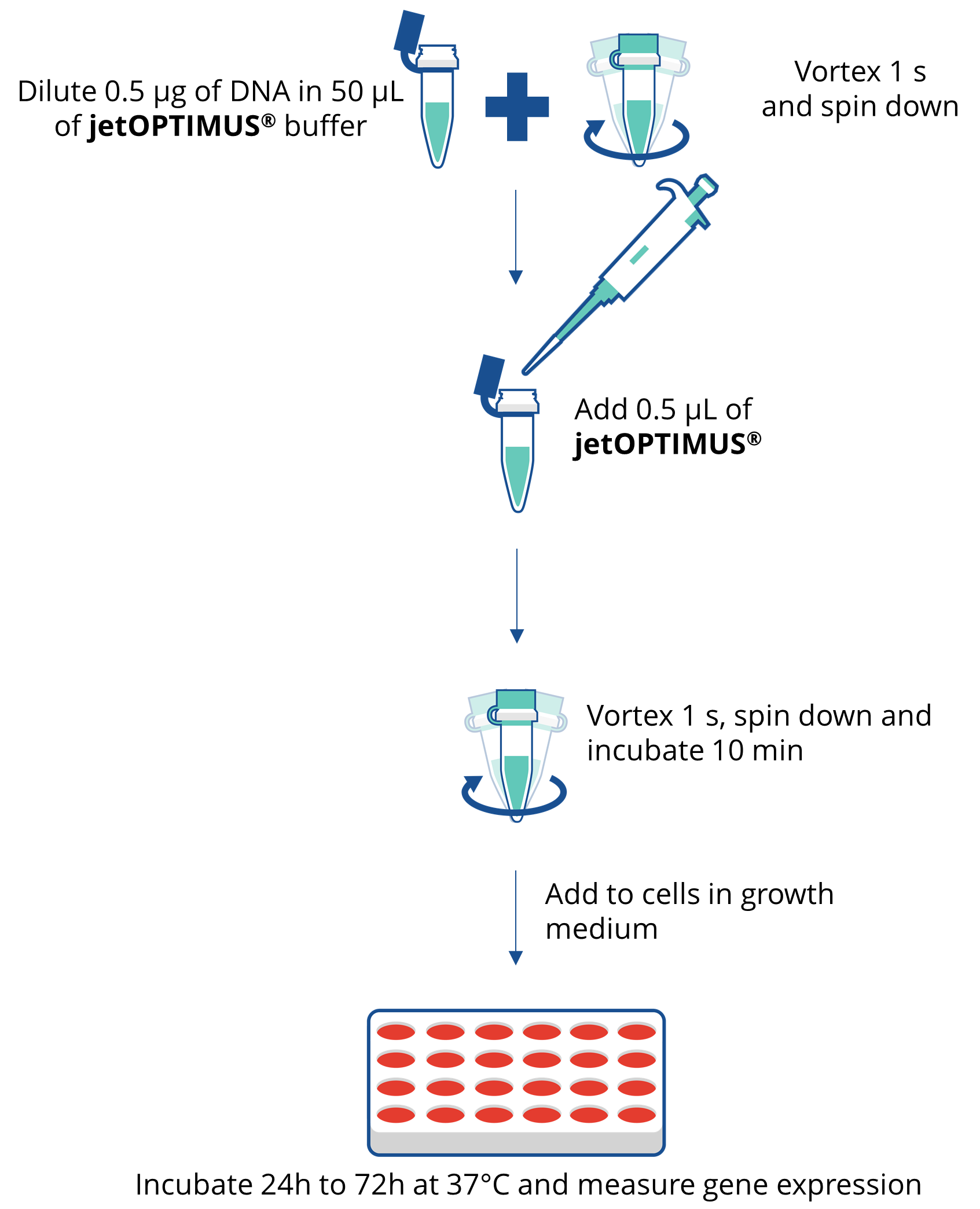 jetOPTIMUS - Protocol