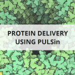 Protein delivery using PULSin