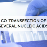 co-transfection of several nucleic acids