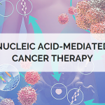 nucleic acid mediated cancer therapy