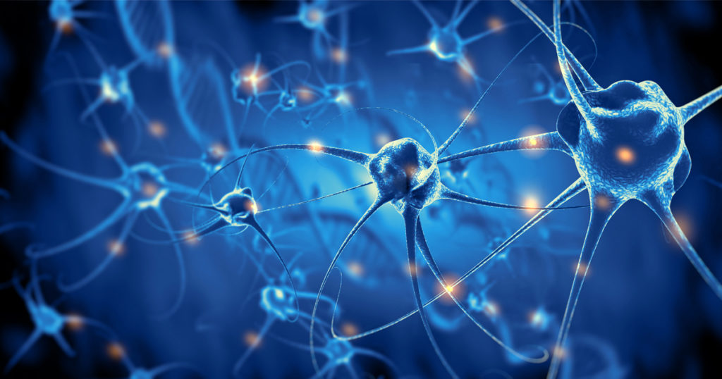 Improved transfection efficiency of neural cells