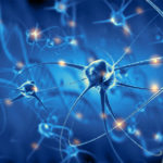 Improved transfection efficiency of neural cells