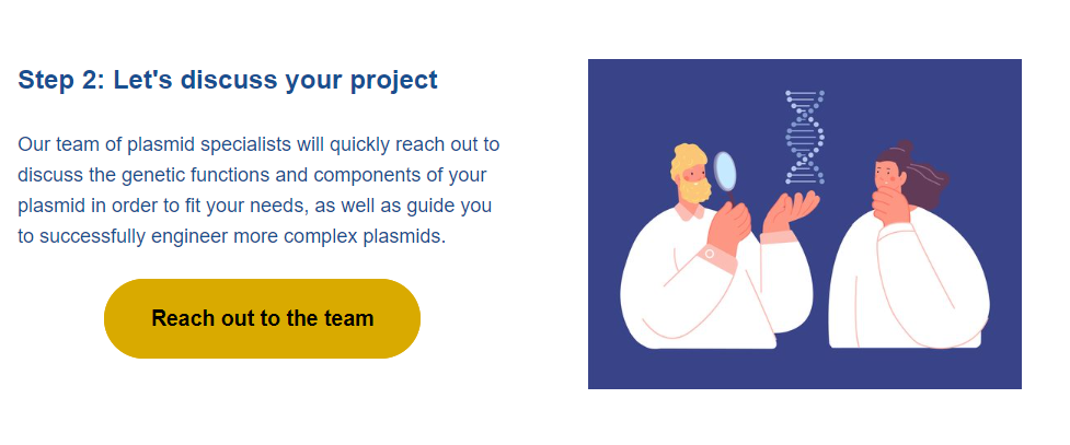 Step 2: Let's discuss your project